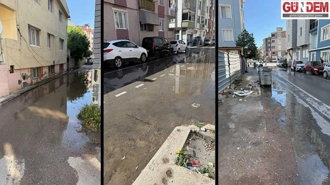 Rögar taştı, sokak foseptik atık gölüne döndü