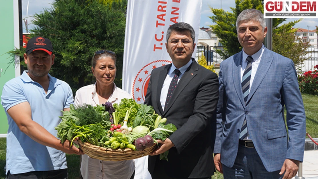 Seracılığın gelişmesi için üreticilere yüzde 75 hibeli sera naylonu dağıtıldı