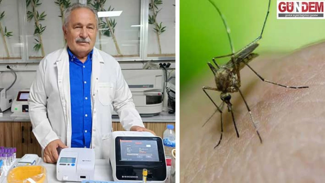 Sivrisinekten gelen tehdit: Chikungunya'ya dikkat!