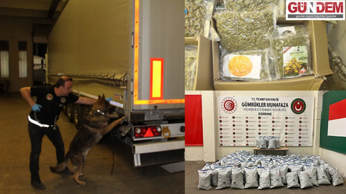 Tırda yapılan aramada 370 kilogram uyuşturucu ele geçirildi