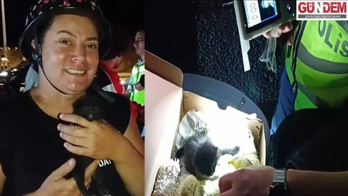 Trafik denetiminde motosiklet sepetini açan polisler yavru kediyle karşılaştı