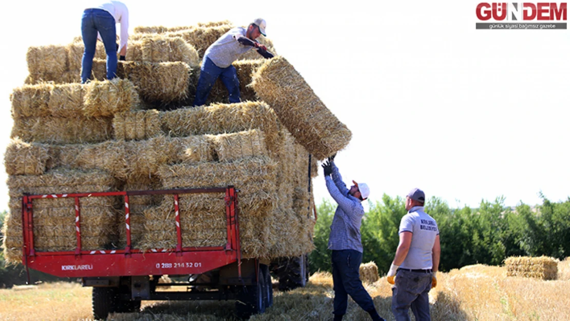 Trakya'da buğday hasadının ardından tarlalarda balya işçilerinin mesaisi başladı