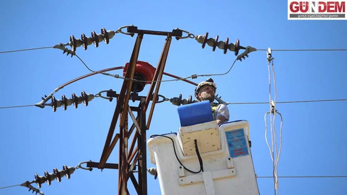 Trakya'da elektrik telleri şah kartalları için izole ediliyor