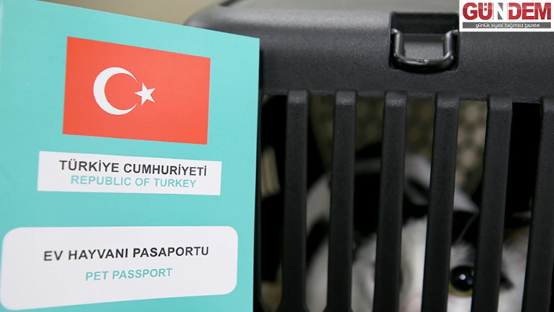 Trakya'da evcil hayvanların kayıt altına alınması uygulaması sürüyor