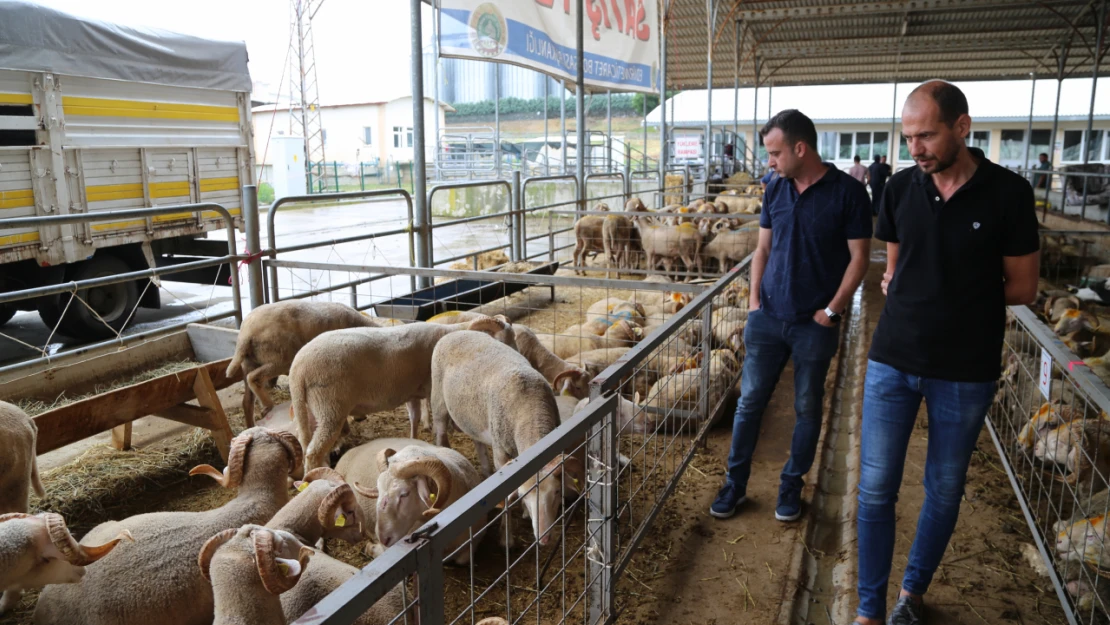 Trakya'da kurban pazarlarında alışveriş devam ediyor