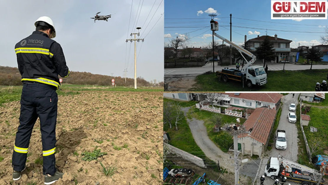 TREDAŞ, leylek yuvalarında bakım başlattı