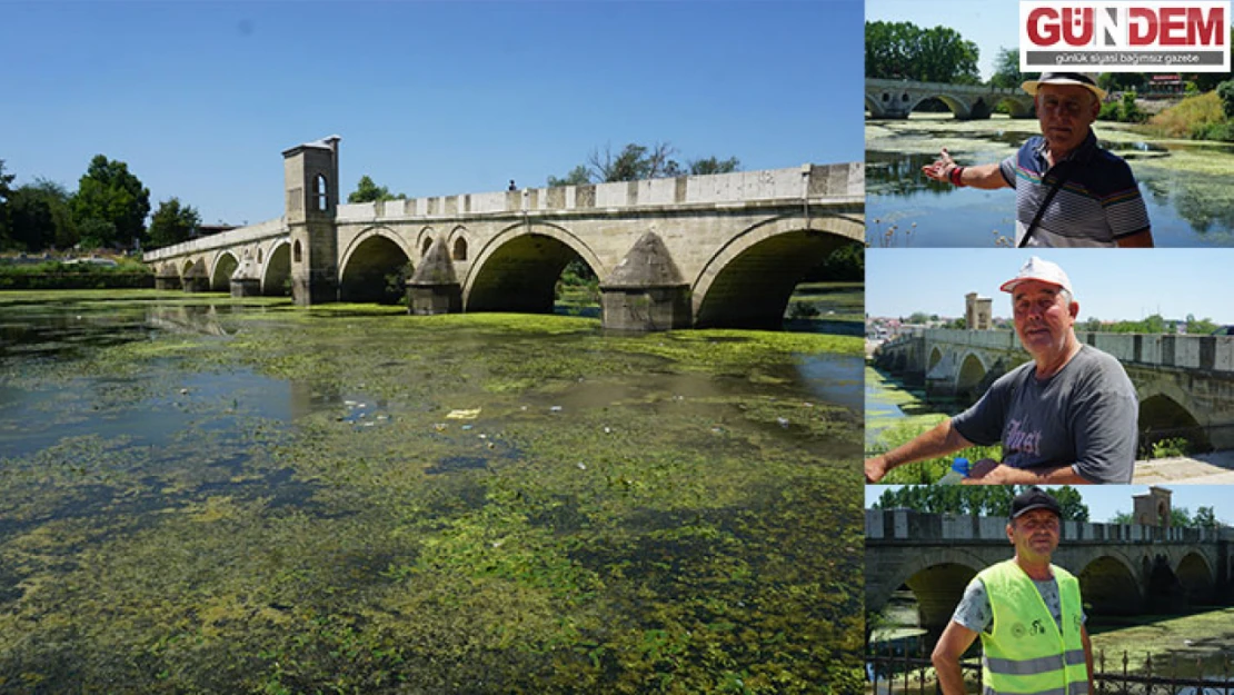 Tunca nehri bataklığa döndü