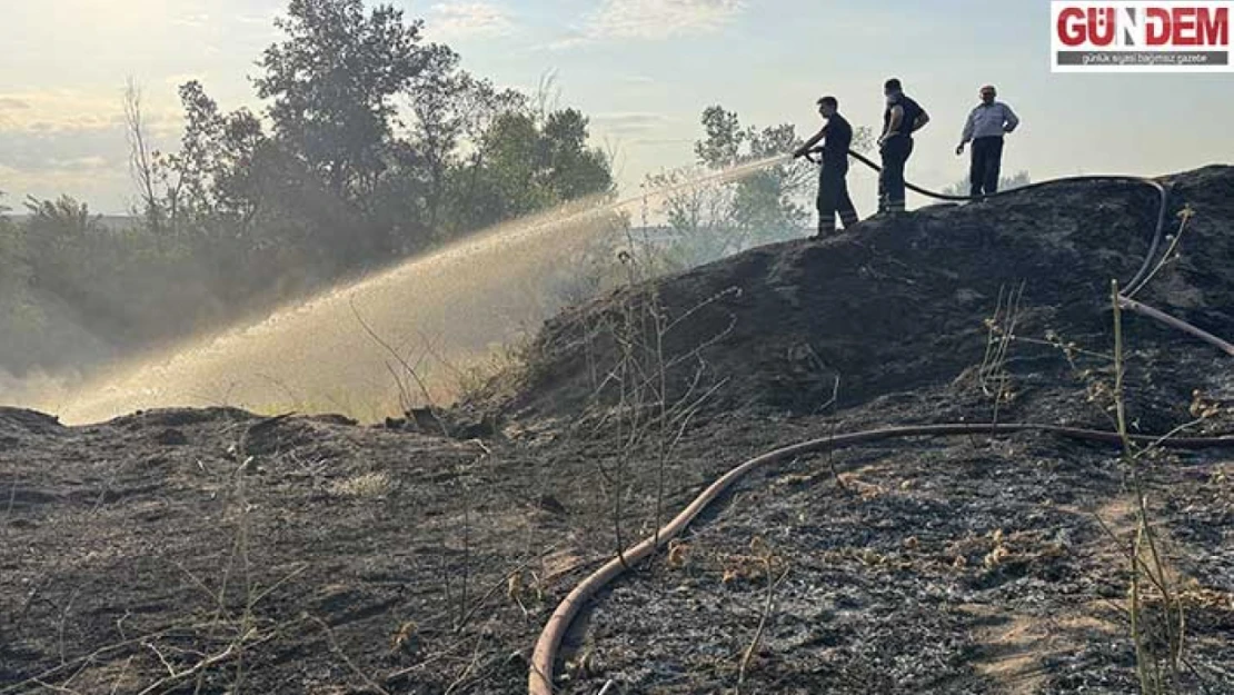 Tunca Nehri kenarında çıkan yangın söndürüldü
