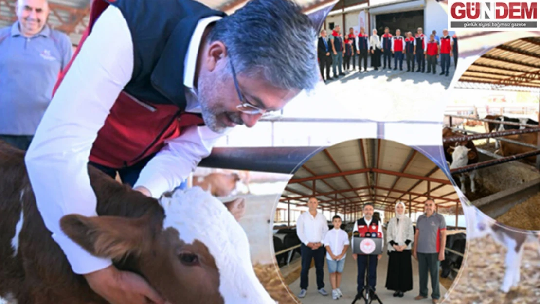 Türkiye, Kırmızı et üretiminde yeni döneme giriyor