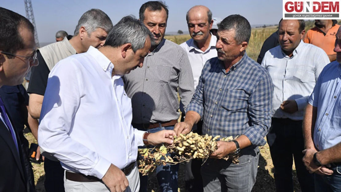 Vali Sezer, fıstık hasadına katıldı