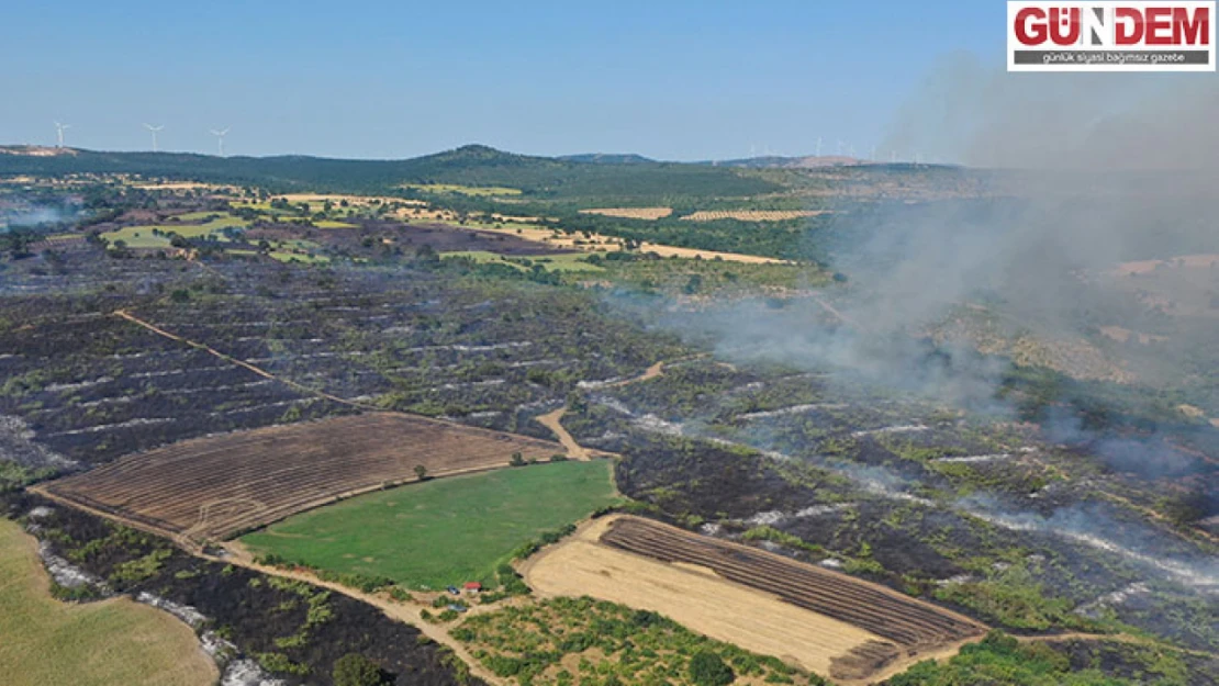 Yangın nedeniyle 36 dönüm tarım arazisi zarar gördü