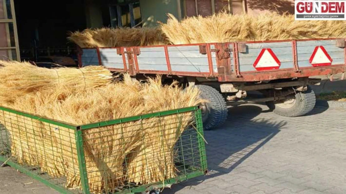 Yeni hasat süpürge teli Edirne Ticaret Borsası'nda satıldı