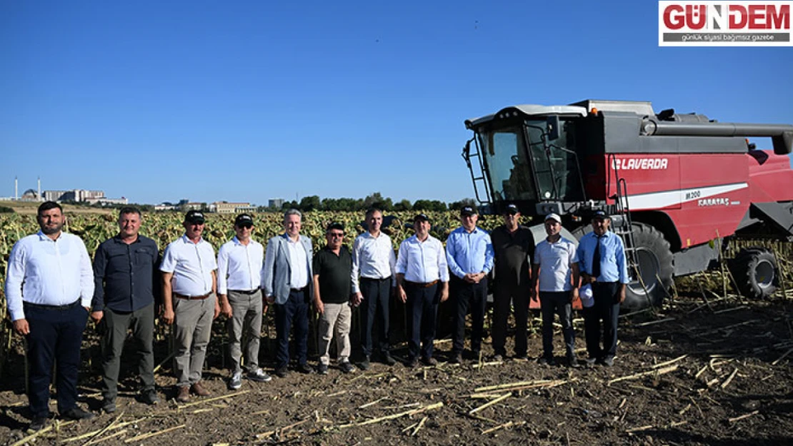 Yerli hibrit ayçiçeği 'Sun 2259 CL'  için hasat etkinliği düzenlendi