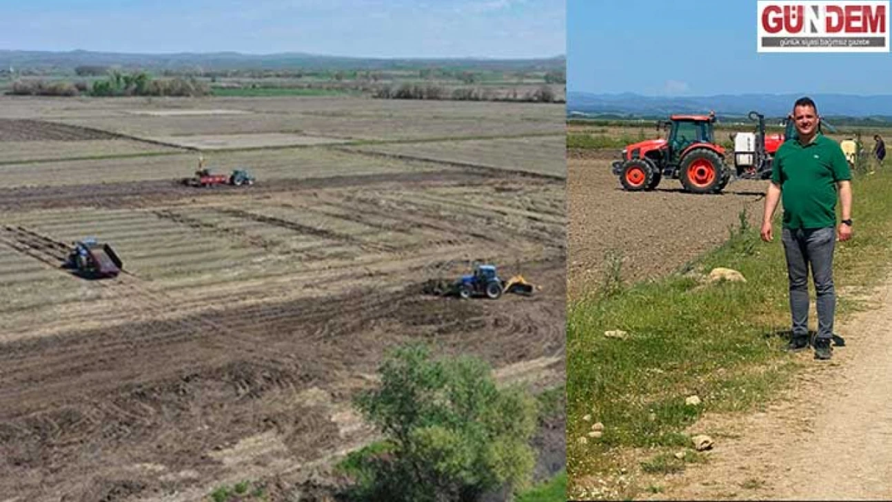 Çeltik tarlalarında ekim hazırlığı