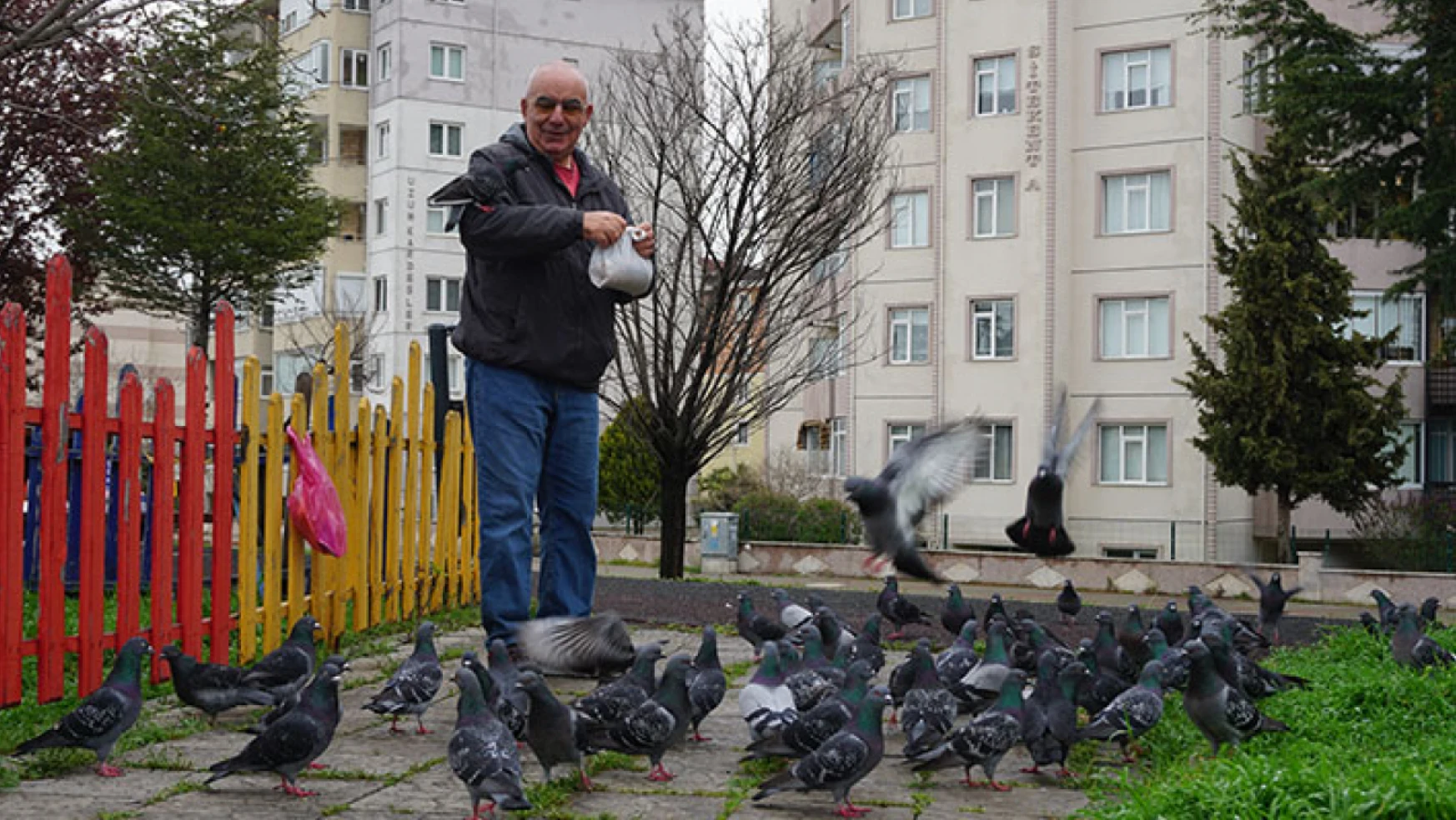 64 yaşındaki emekli öğretmen her gün parktaki güvercinleri besliyor