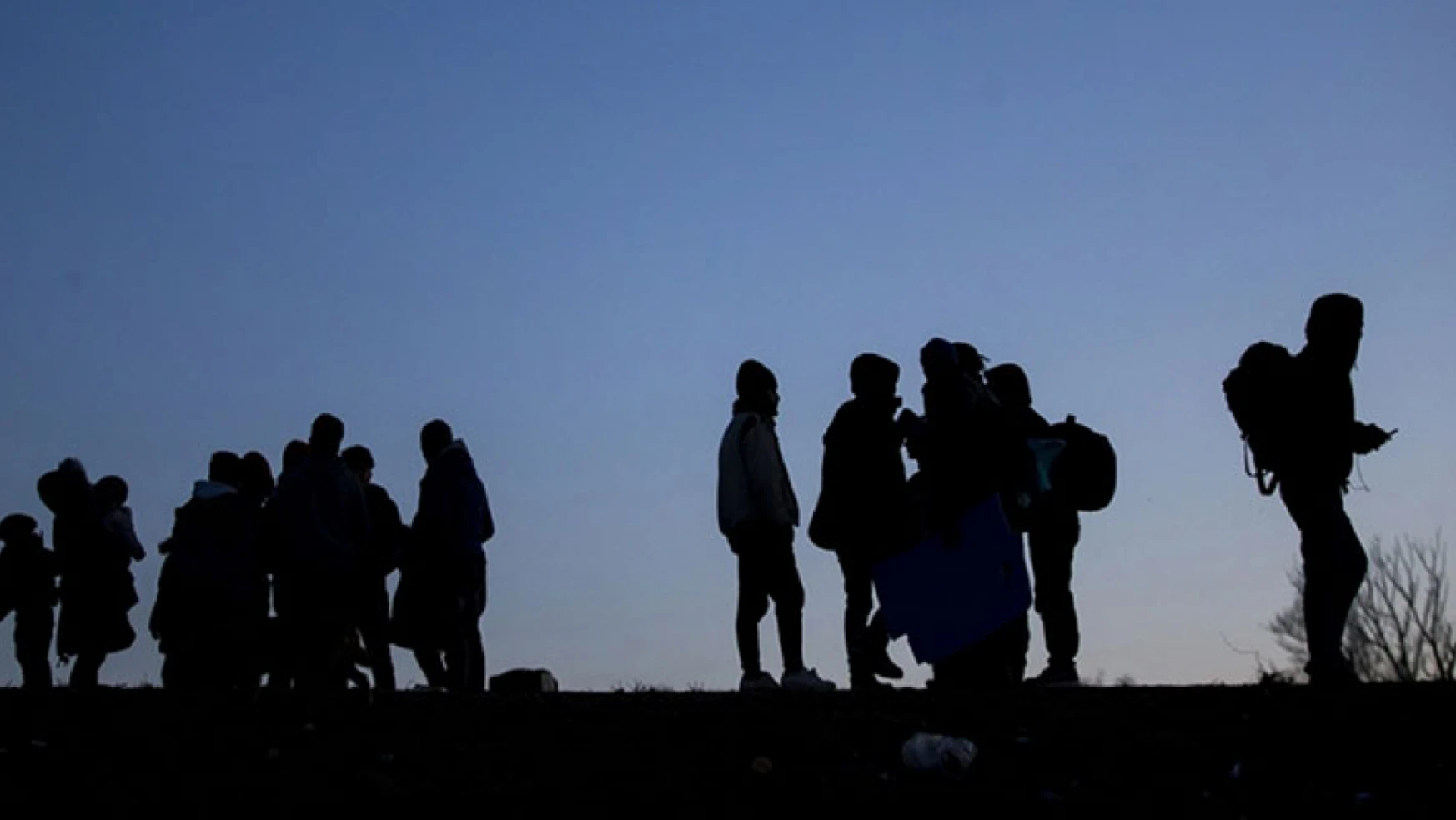 Edirne'de 48 düzensiz göçmen yakalandı