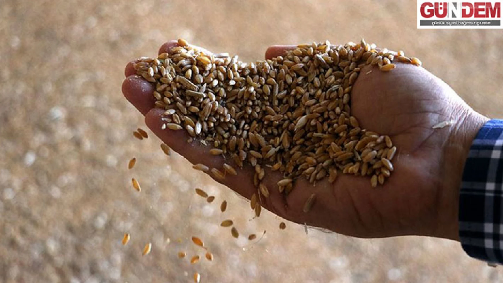 Edirne'de üreticilere yüzde 75 hibeli kuru fasulye tohumu dağıtılacak