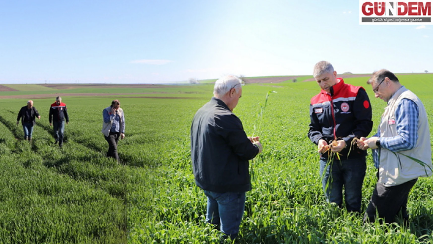 Edirne Tarım ve Orman Müdür Atilla Bayazıt, buğday ve kanola ekili arazileri inceledi.