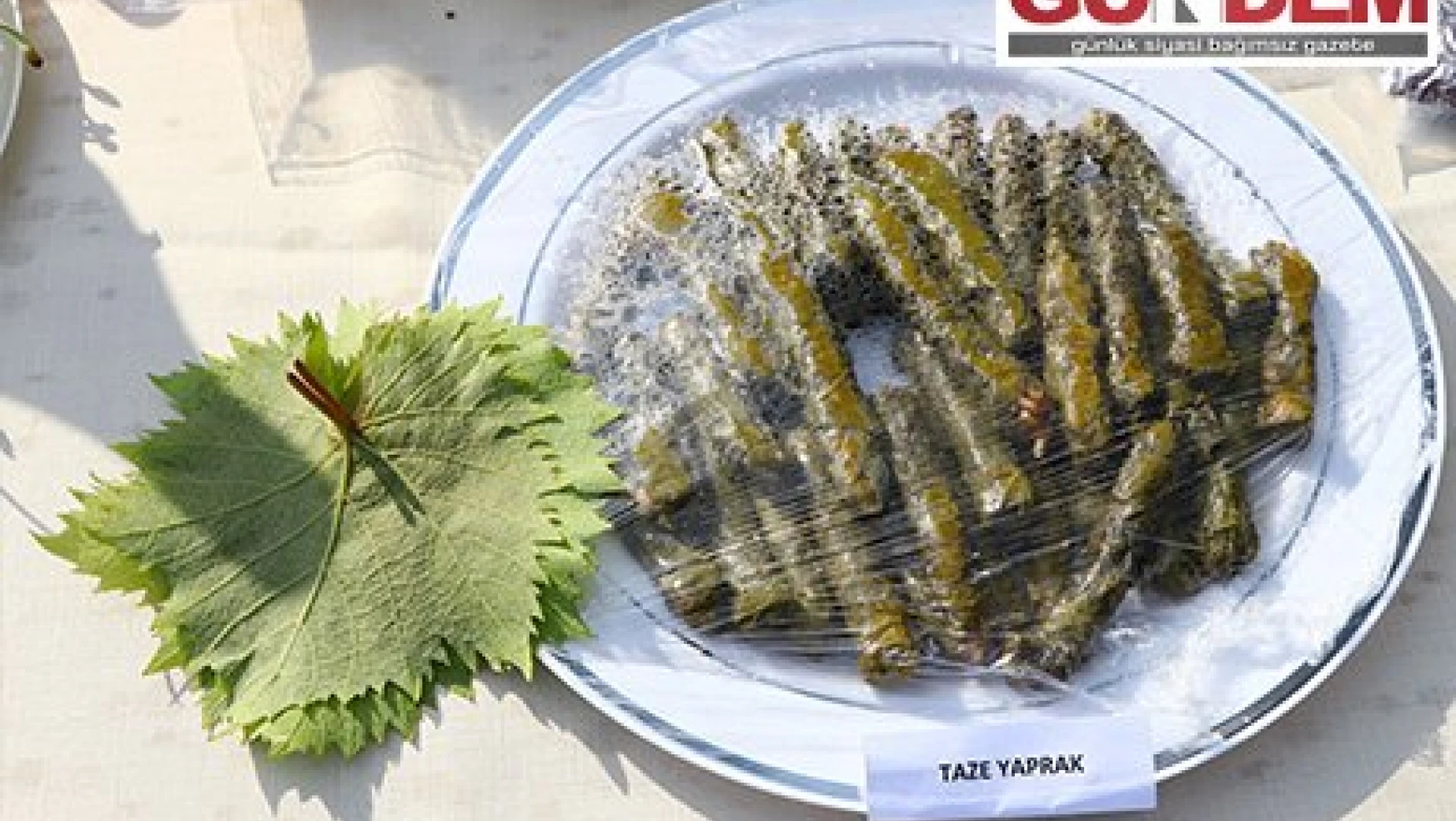 Tekirdağ'da 'Yapıncak yaprağı' adına hasat şenliği düzenlendi