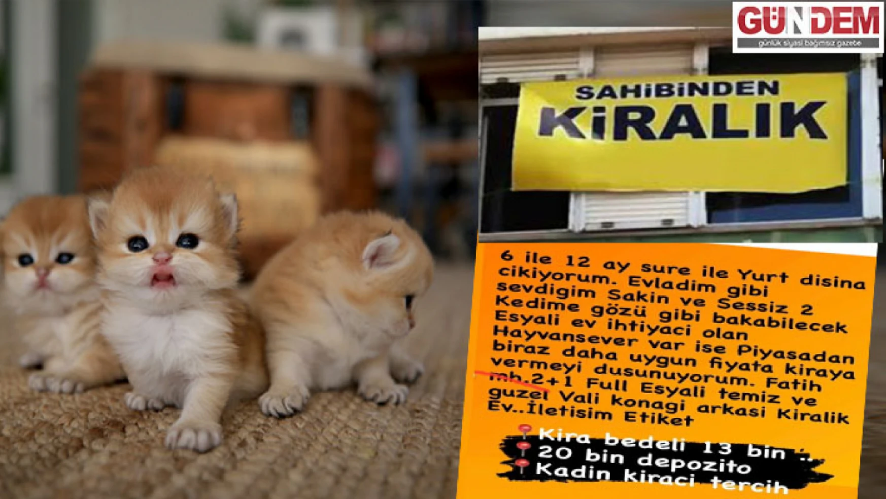 Kedili kiralık ev ilanı sosyal medyayı salladı