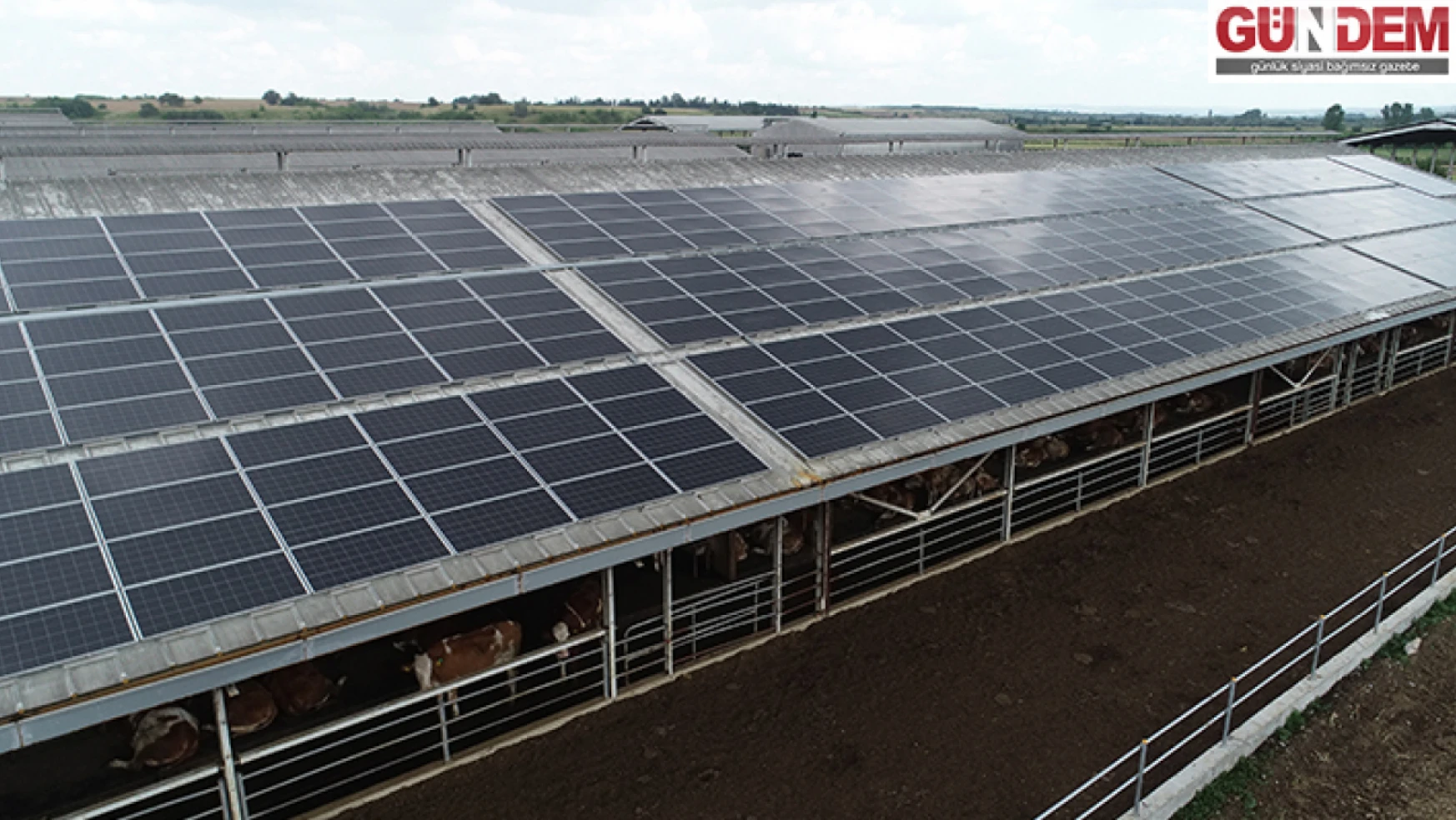 Kırklareli'nde modern süt üretim tesislerinin enerji ihtiyacı güneşten karşılanıyor