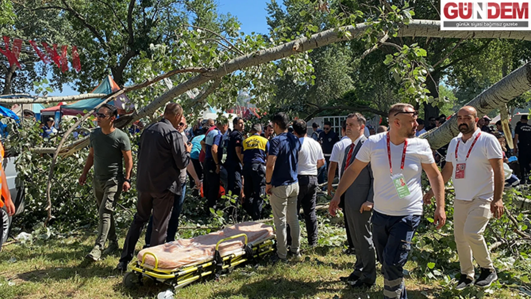 Sarayiçi'nde devrilen ağaç 2 kişiyi yaraladı