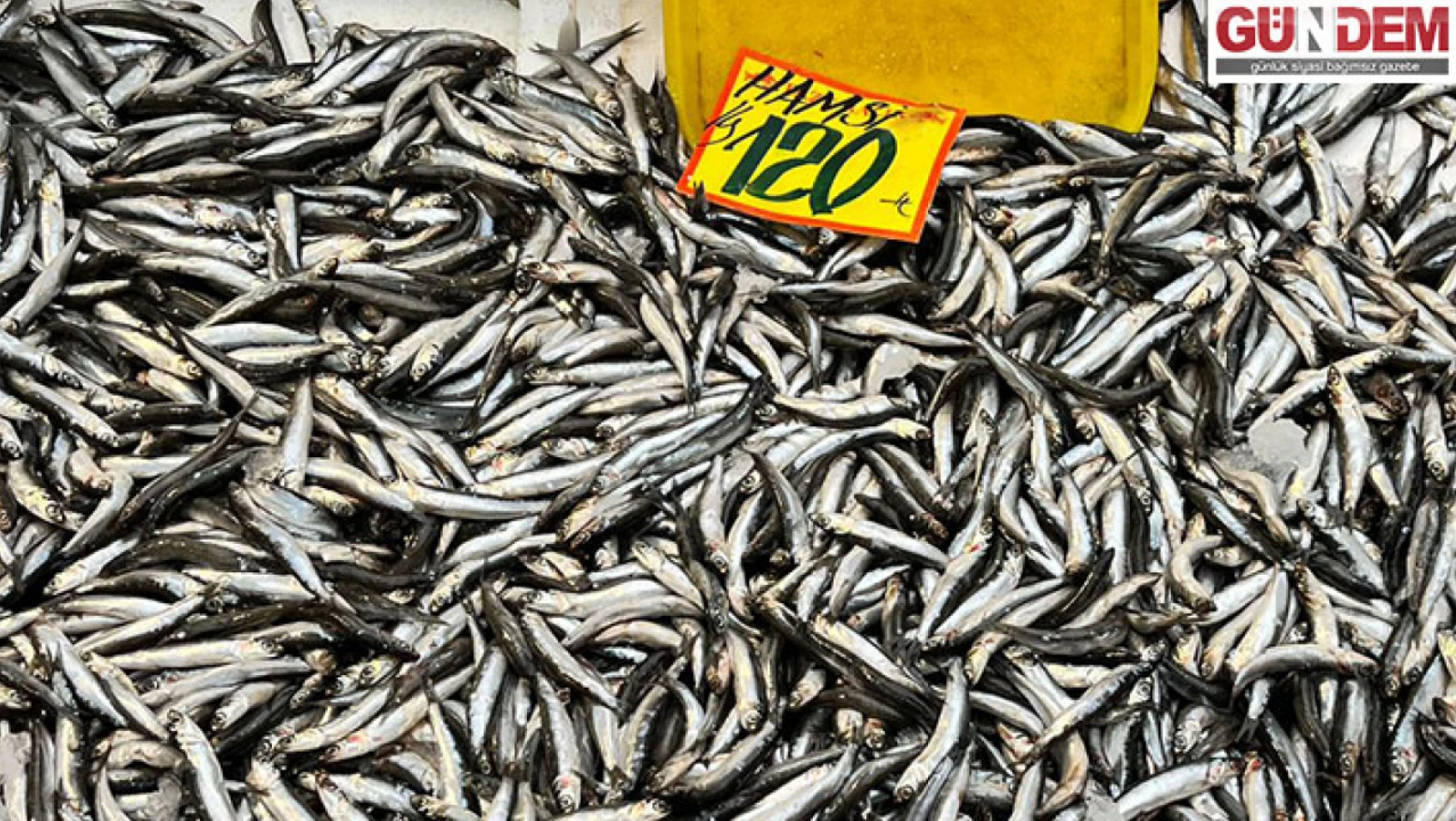 Sıcak havalar balık satışlarını olumsuz etkiliyor