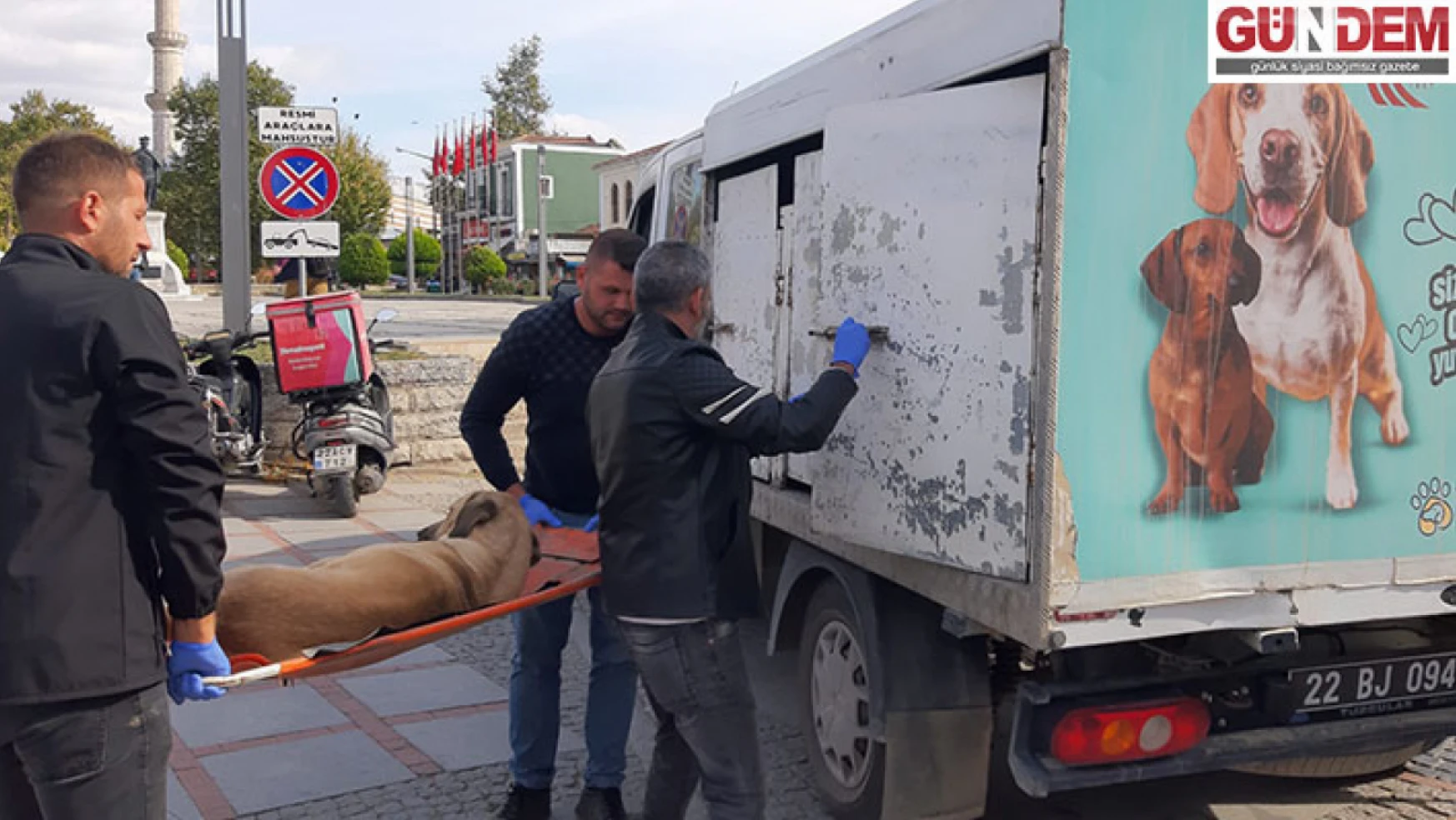 'Sokak Köpekleri' rehabilitasyon çalışmaları başladı