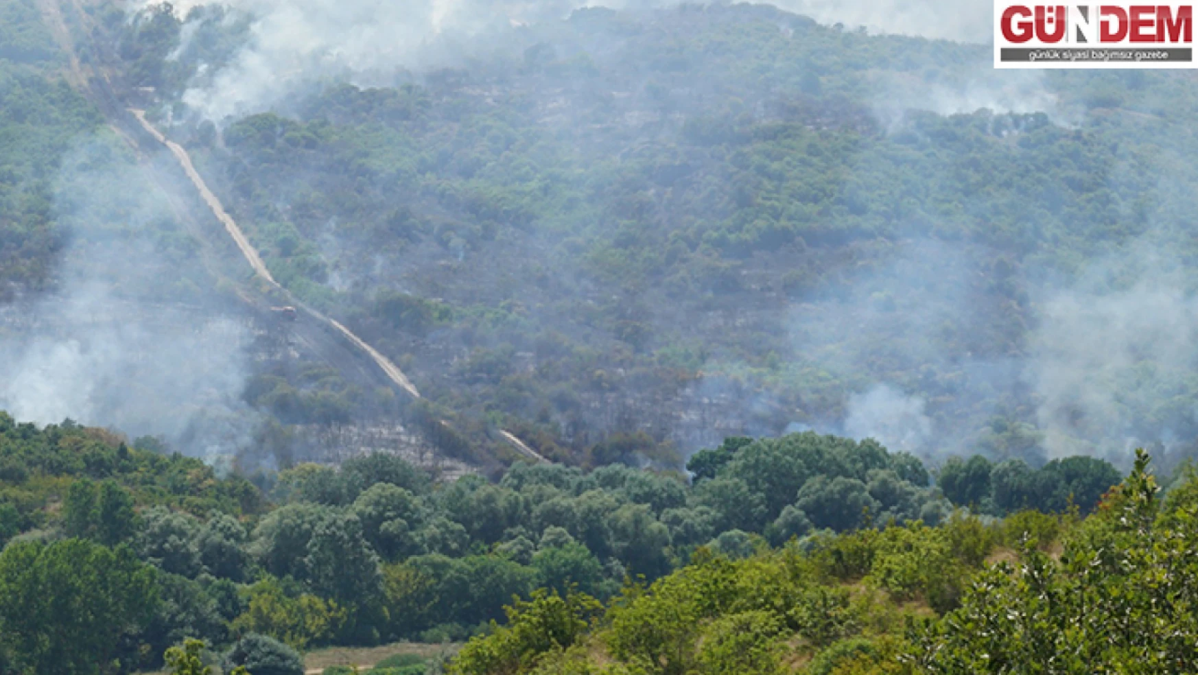 Türkiye-Bulgaristan sınırındaki ormanda yangın