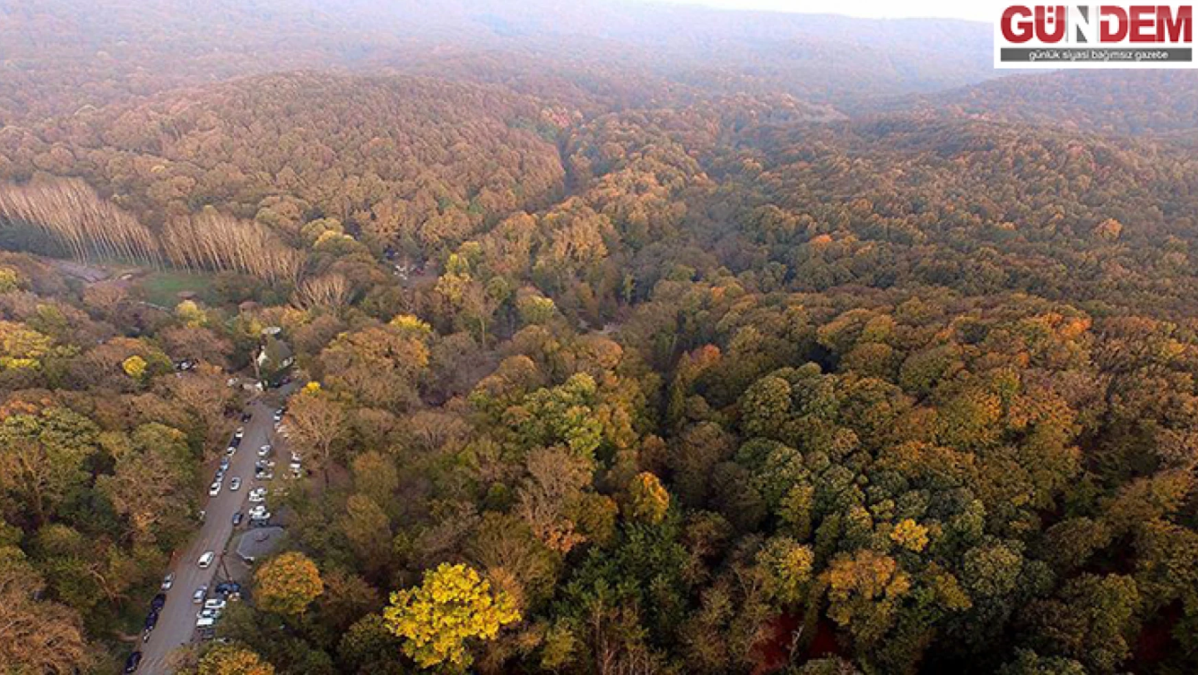 Türkiye'nin yaklaşık yüzde 30'u ormanlarla kaplı