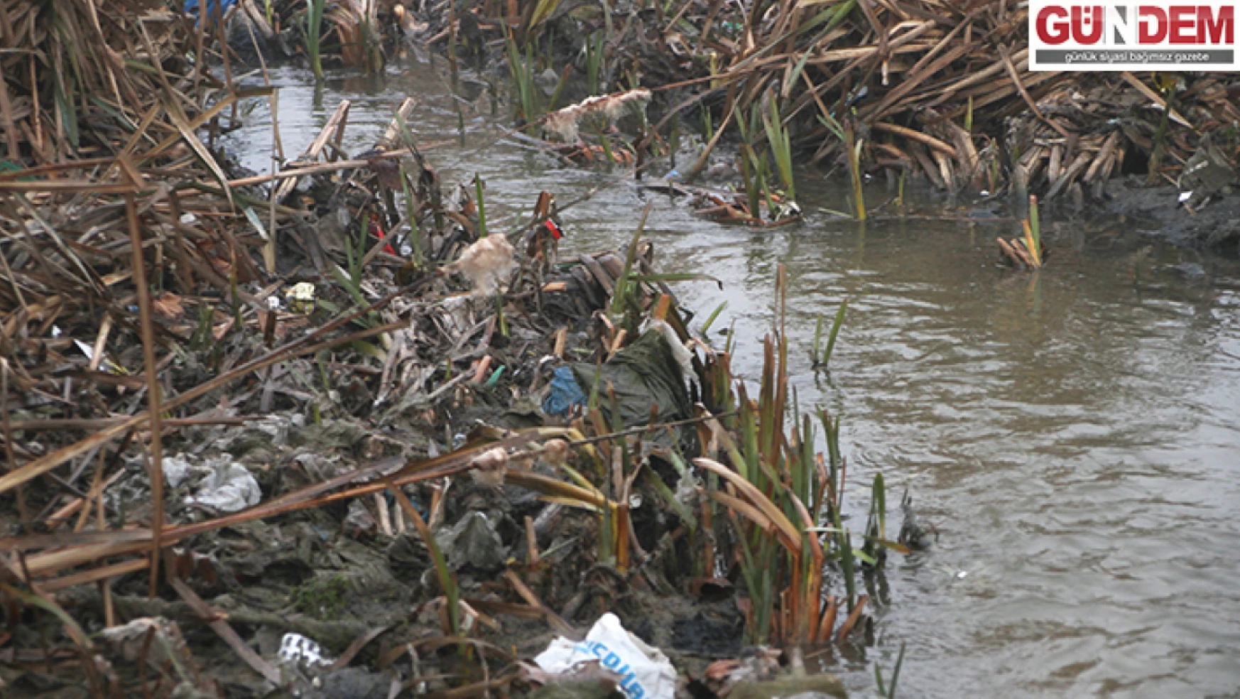 'Vahşilik ve nehir kirletme yöntemleri devam ediyor'