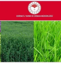 2025 yem bitkileri destek listeleri incelemeye açıldı