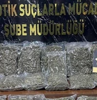 40 kilogram skunk ele geçirildi