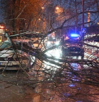 Ağaç park halindeki otomobilin üzerine devrildi