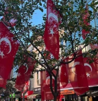 Bayraklı ağaç vatandaşların ilgi odağı oldu