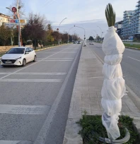 Edirne Belediyesi palmiyeler nedeniyle yeniden gündemde