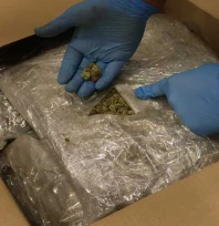 Edirne'de Gümrük Kapılarında 525 Kilo Uyuşturucu