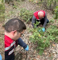 Edirne'de tarım ekiplerinden süneye karşı titiz mücadele