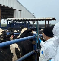 Ekipler hayvan sağlığı taraması çalışmalarını sürdürüyor