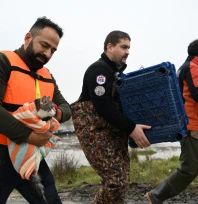 Ekipler, hayvanları sel suyundan kurtardı