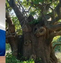 En fazla anıt ağaç Edirne'de