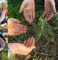 Genç Kızılay'dan etkinlik fidanlar toprakla buluştu