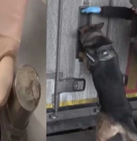 Gümrükler Muhafaza ekipleri zehir tacirlerine göz açtırmıyor