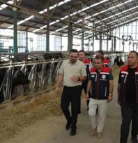 Hayvan sağlığı için yoğun mesai