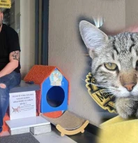 Herkes bir parça getirdi, sokaktaki canlar için kedi evi kuruldu
