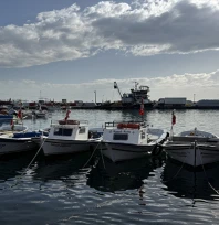 Lodosun ardından balıkçılar ava çıkabildi