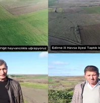 Mera ıslahı hayvancılığa can suyu oldu