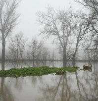 Meriç Nehri'nde risk azalıyor