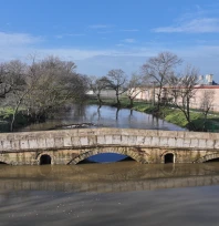Meriç'te debi alarmı: İki günde üç kat artış