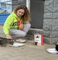 Pelin öğretmen 11 yıldır 'çocuklarım' dediği kedileri besliyor